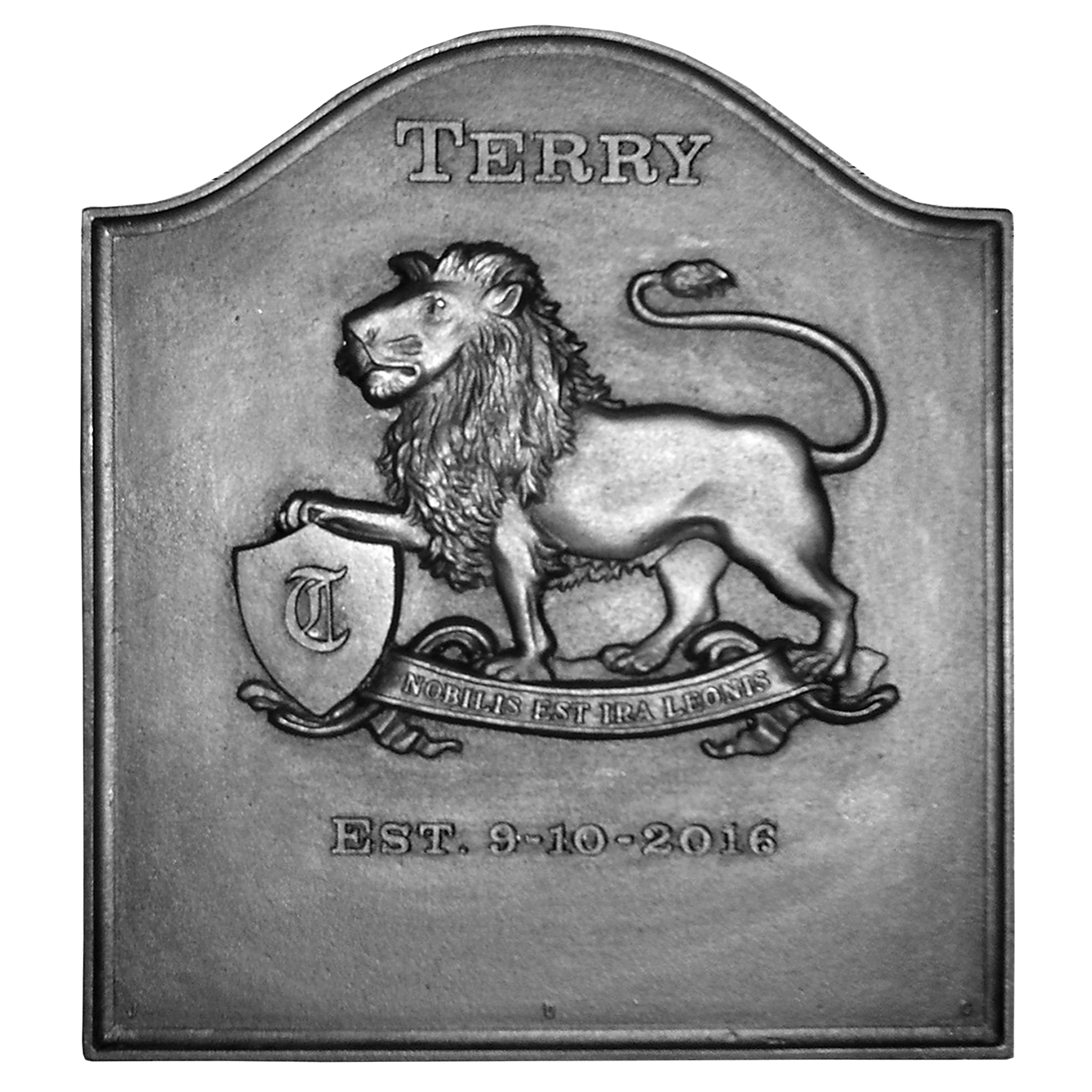 Plain Panel Lion Fireback